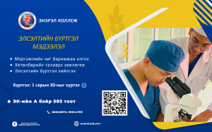 Read more about the article ӨВЛИЙН НЭМЭЛТ ЭЛСЭЛТ ЭХЭЛЛЭЭ